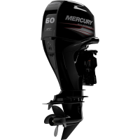 ПЛМ | Подвесной лодочный мотор | Mercury | 60 EFI