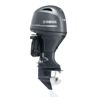 ПЛМ | Лодочный мотор | Yamaha | F130 | AETX