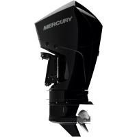 Подвесной лодочный мотор 300XL DTS V8