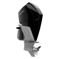 ПЛМ | Подвесной лодочный мотор | Mercury | Verado | 250 | DTS V8