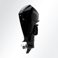ПЛМ | Подвесной лодочный мотор | 225 | DTS | V6